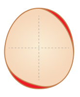 First inner shell